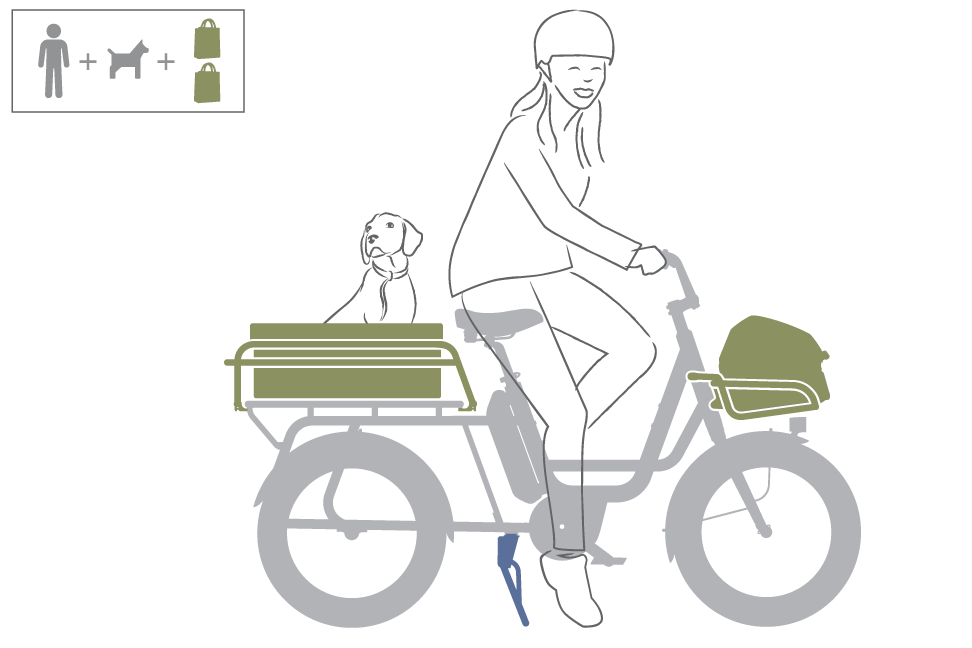 Benno Bikes RemiDemi XL Dog Setup